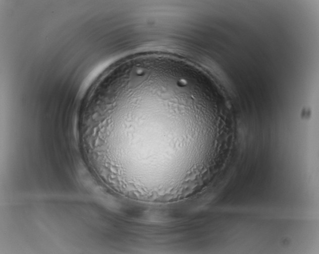 X0000113330788200909141426