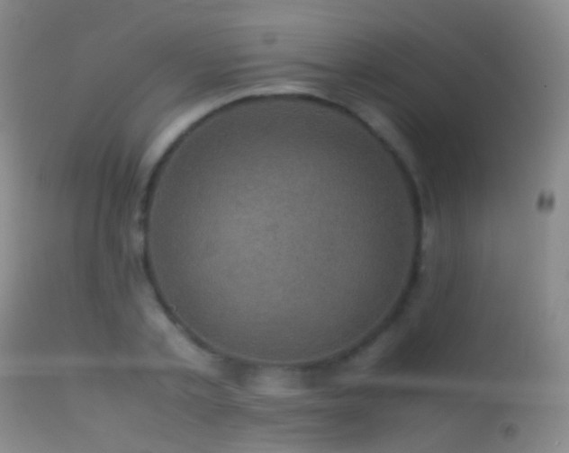 X0000113330789200909141426