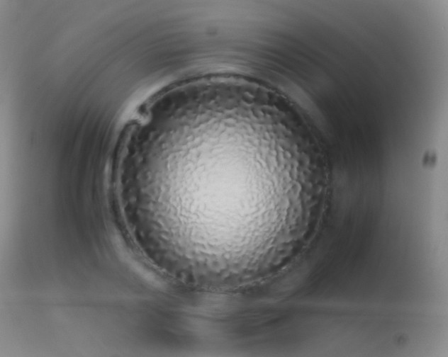 X0000113330790200909141426