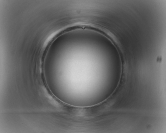 X0000113330791200909141426