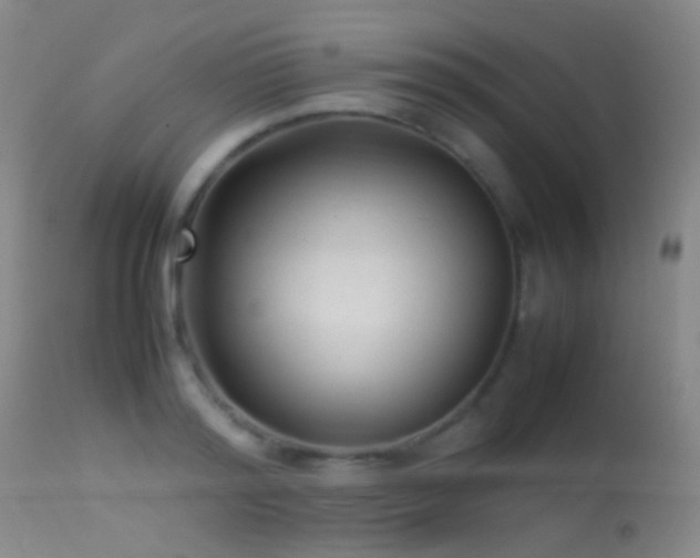 X0000113330796200909141426