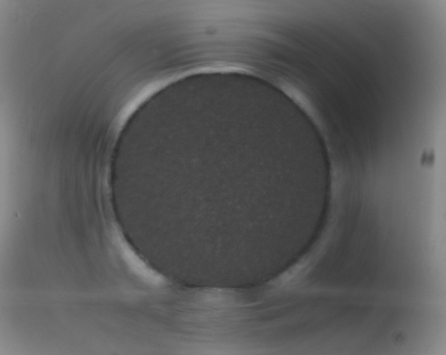 X0000113330797200909141426