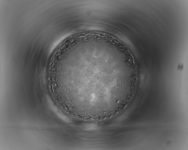 X0000113330798200909141426
