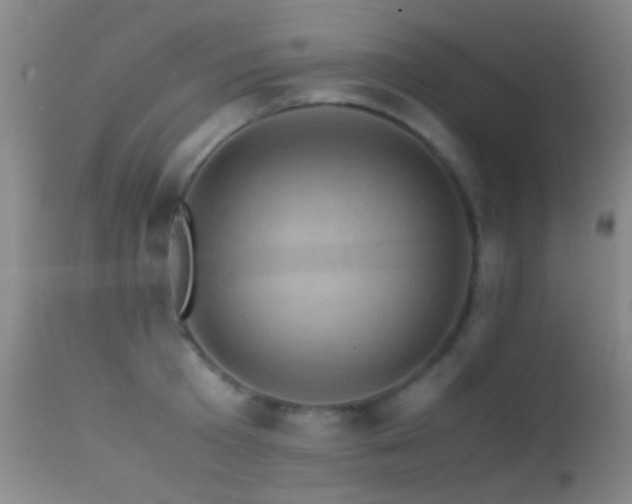 X0000113330801200909141426