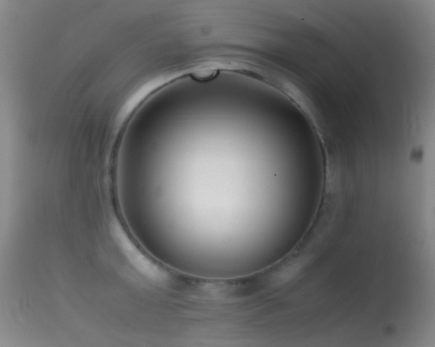 X0000113330803200909141426