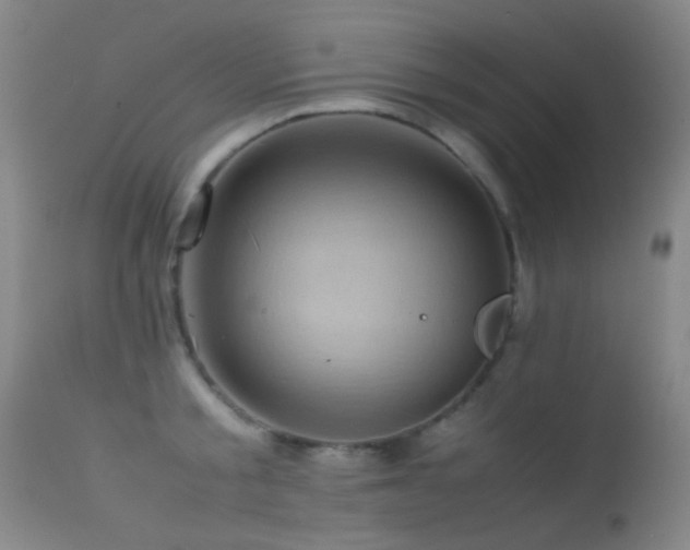 X0000113330805200909141426