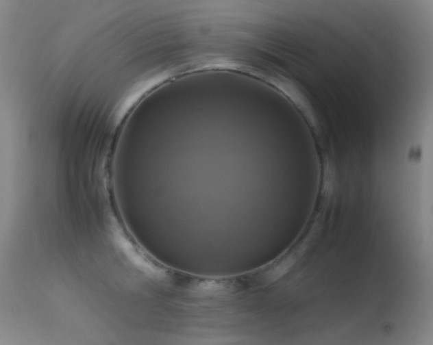 X0000113330806200909141426