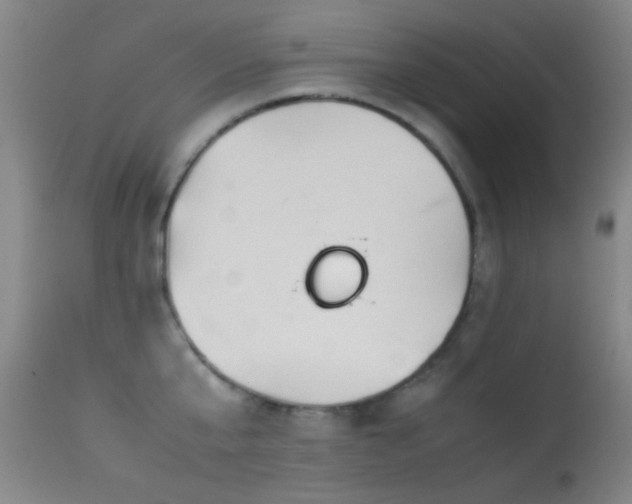 X0000113330807200909141425