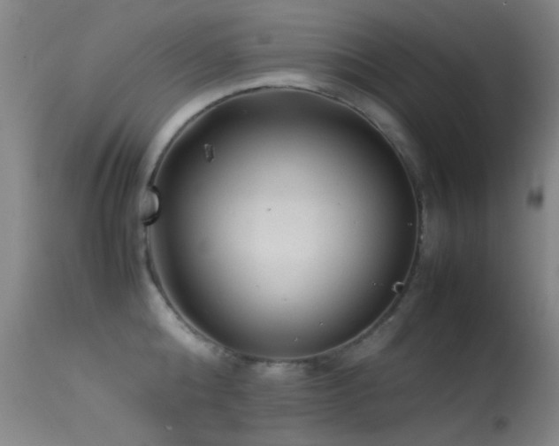 X0000113330808200909141425