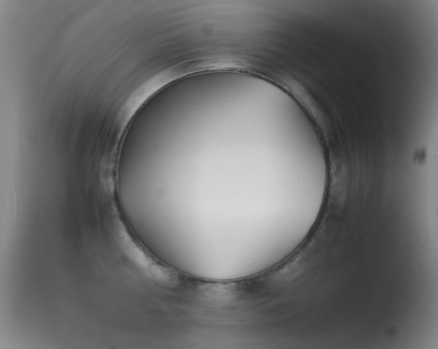 X0000113330810200909141425