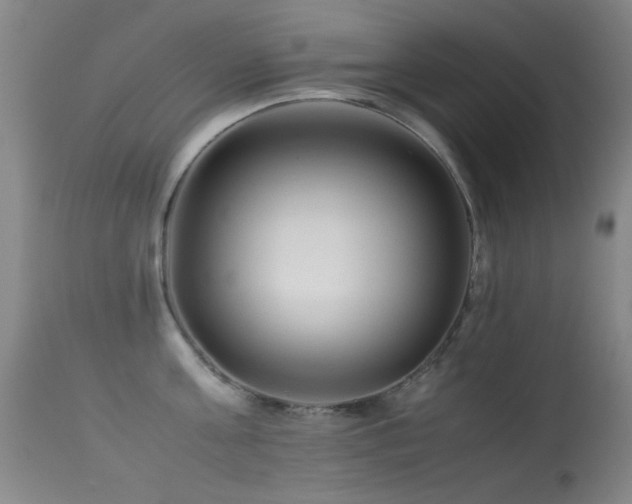 X0000113330811200909141425