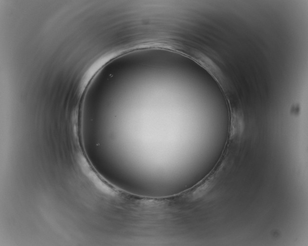 X0000113330812200909141425