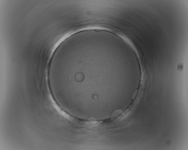 X0000113330813200909141425
