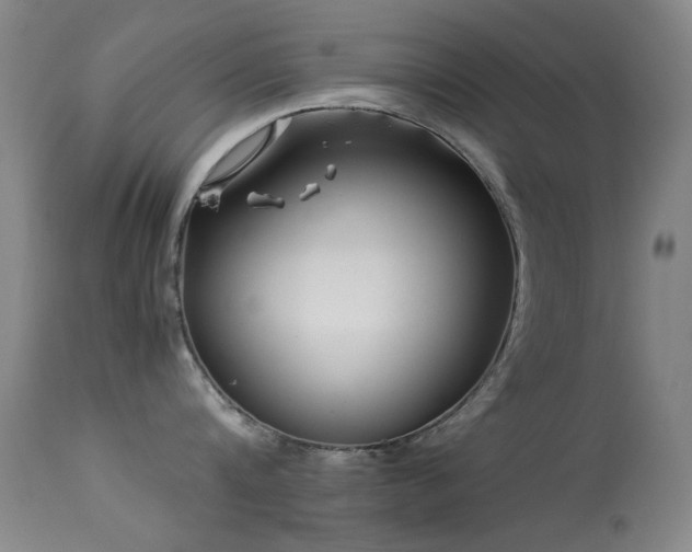 X0000113330816200909141425