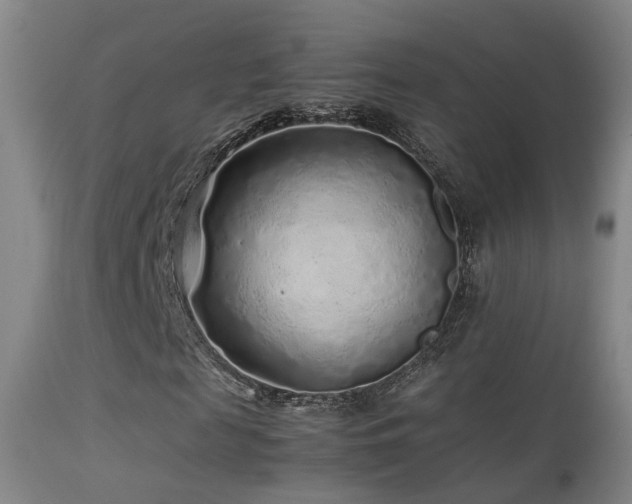 X0000113330817200909141424