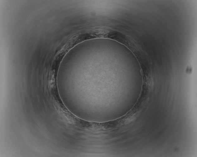 X0000113330818200909141424