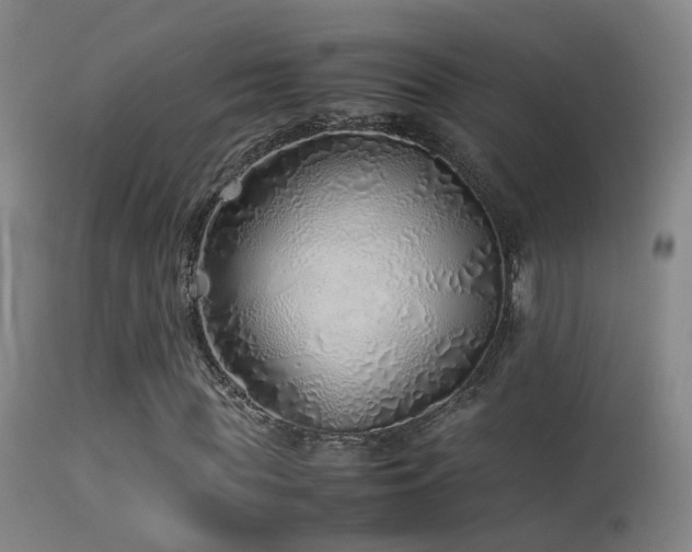 X0000113330819200909141424