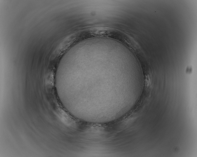 X0000113330820200909141424