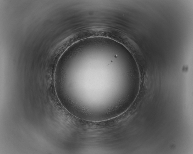 X0000113330821200909141424