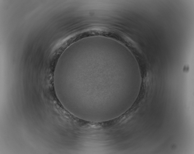 X0000113330822200909141424