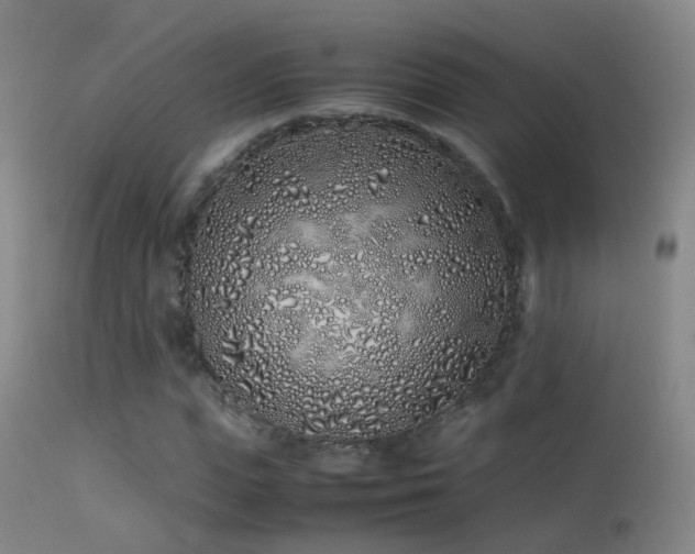 X0000113330823200909141424