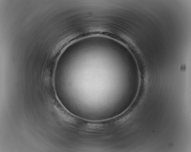 X0000113330825200909141424