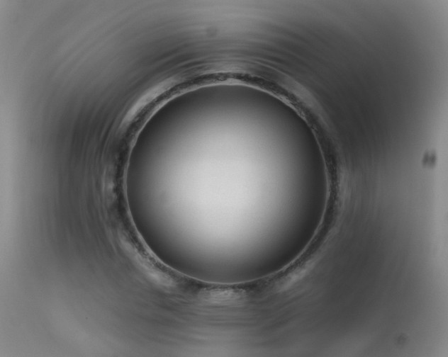 X0000113330826200909141424