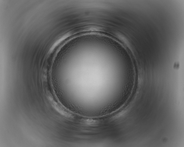 X0000113330827200909141425