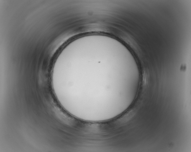 X0000113330828200909141425