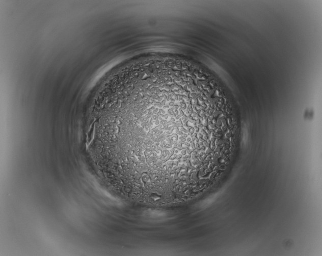 X0000113330829200909141425