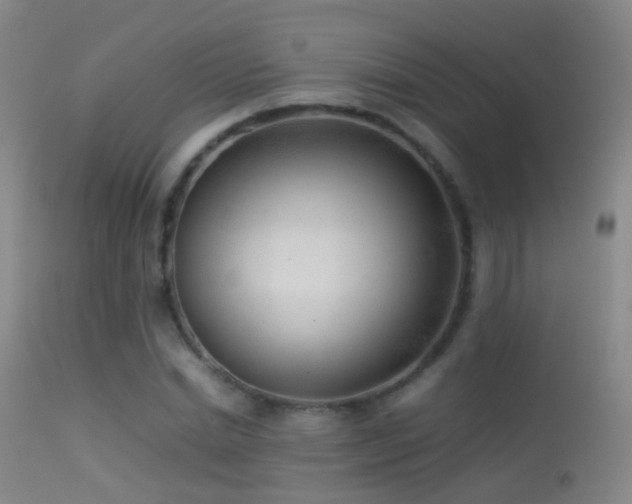X0000113330830200909141425