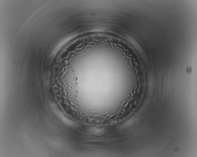 X0000113330831200909141425