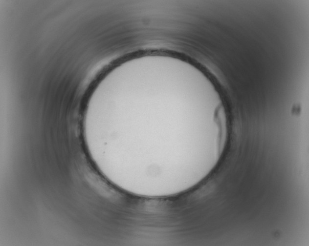 X0000113330832200909141425
