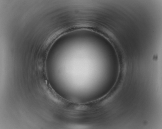 X0000113330833200909141425