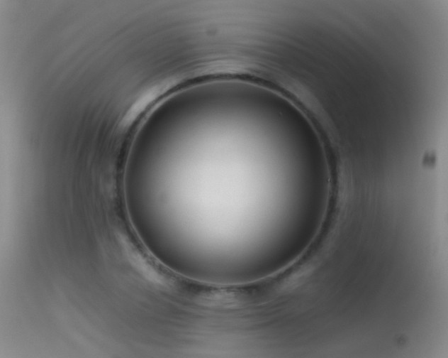 X0000113330834200909141425
