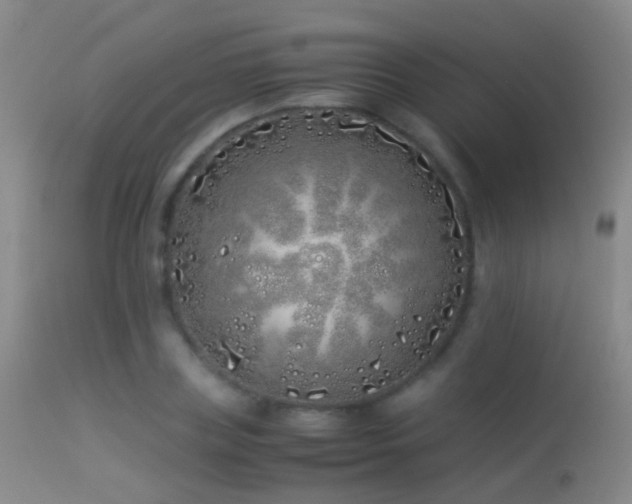 X0000113330835200909141425