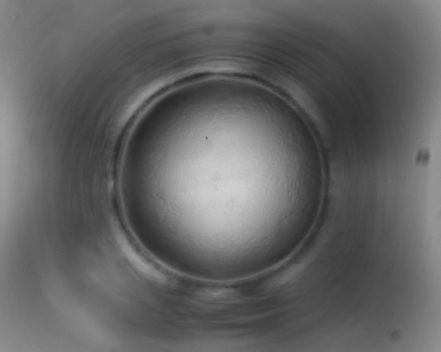 X0000113330837200909141425