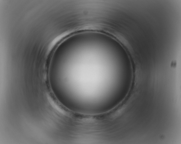 X0000113330838200909141425