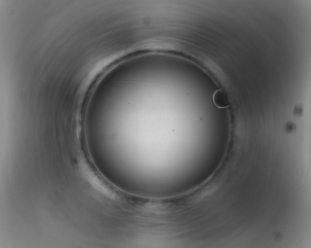 X0000113330840200909141425