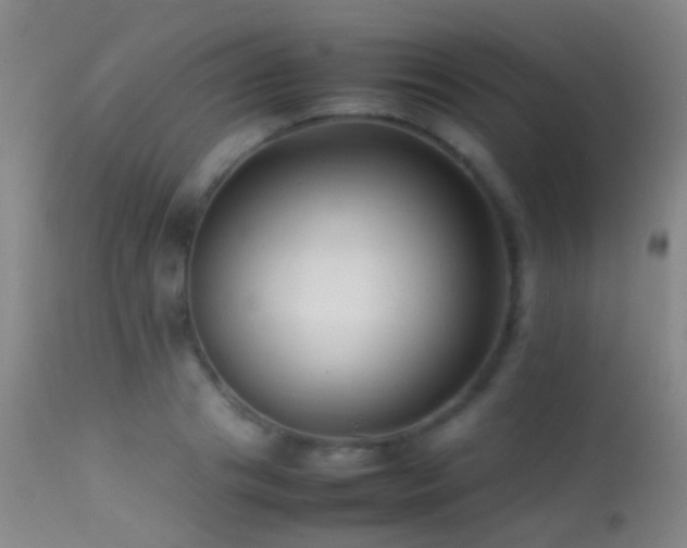 X0000113330841200909141425