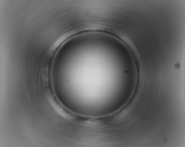 X0000113330842200909141425