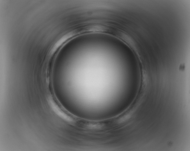 X0000113330843200909141425