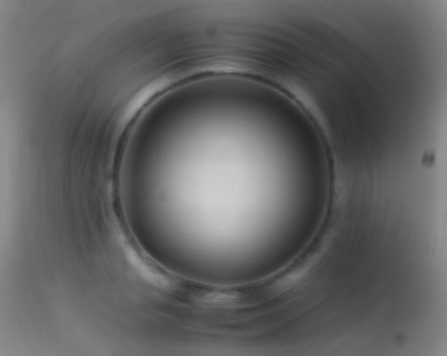 X0000113330845200909141425