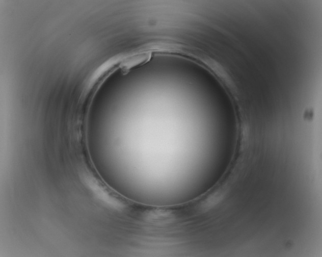 X0000113330846200909141425