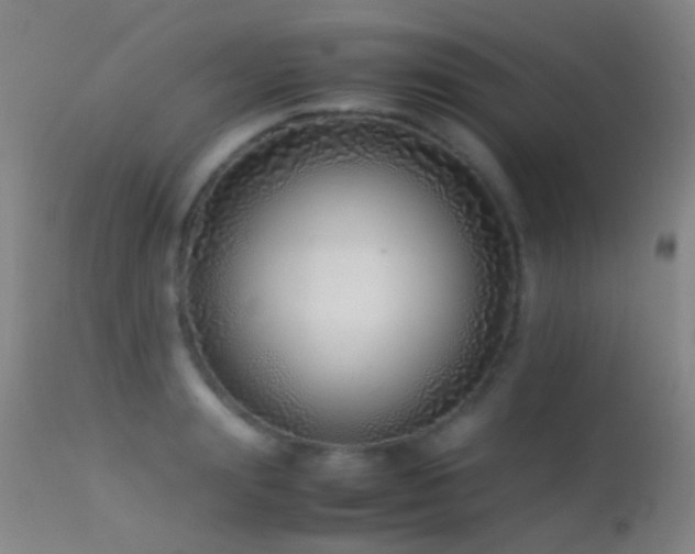 X0000113330847200909141425