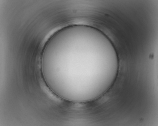 X0000113330848200909141425