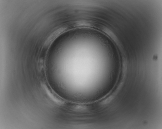X0000113330849200909141425