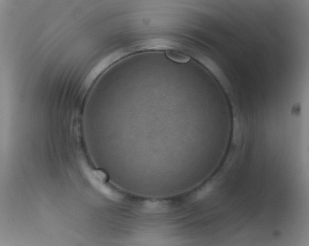 X0000113330850200909141425