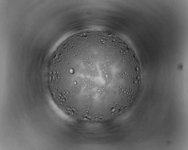 X0000113330851200909141425