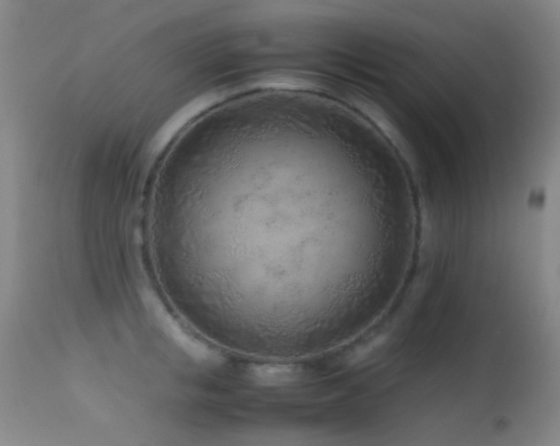 X0000113330853200909141425